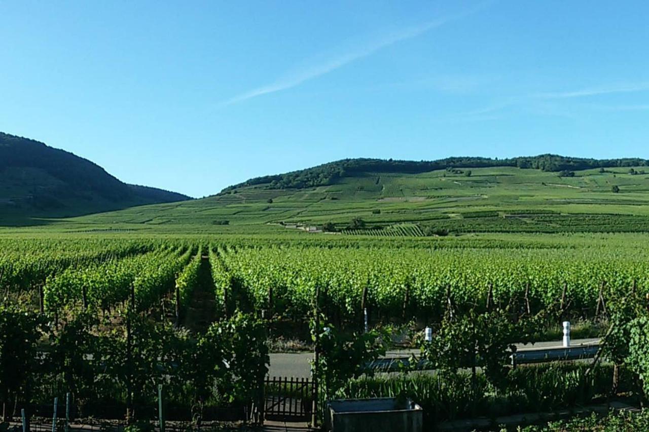 Naova Cosy Studio Kaysersberg-Vignoble Esterno foto